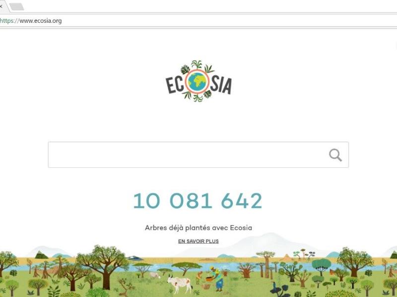 Ecosia, le moteur de recherche écolo qui plante des arbres&nbsp;!