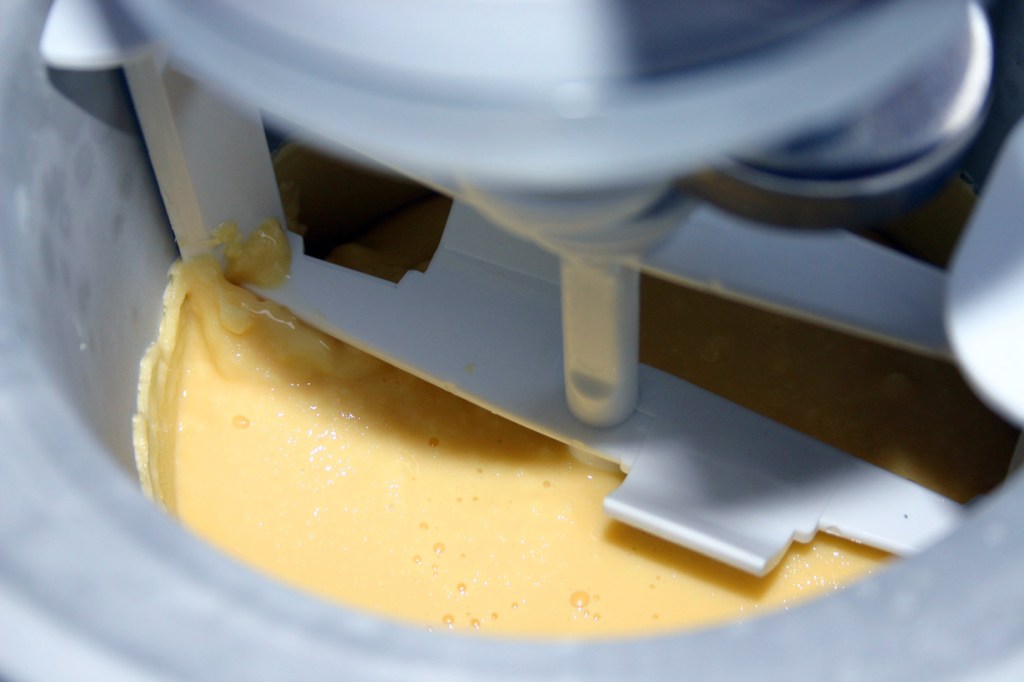 Glace Vanille maison