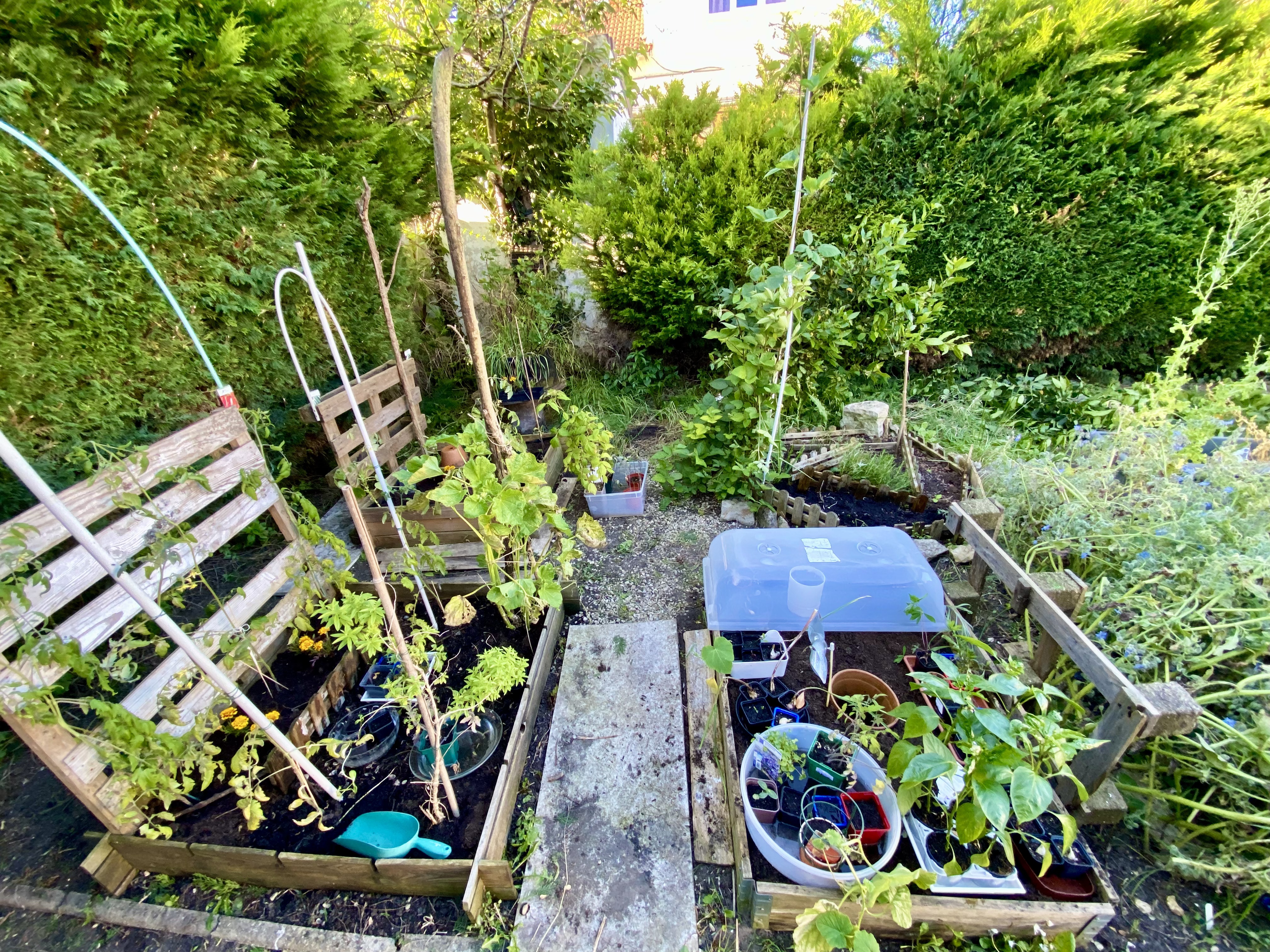 Mon Potager