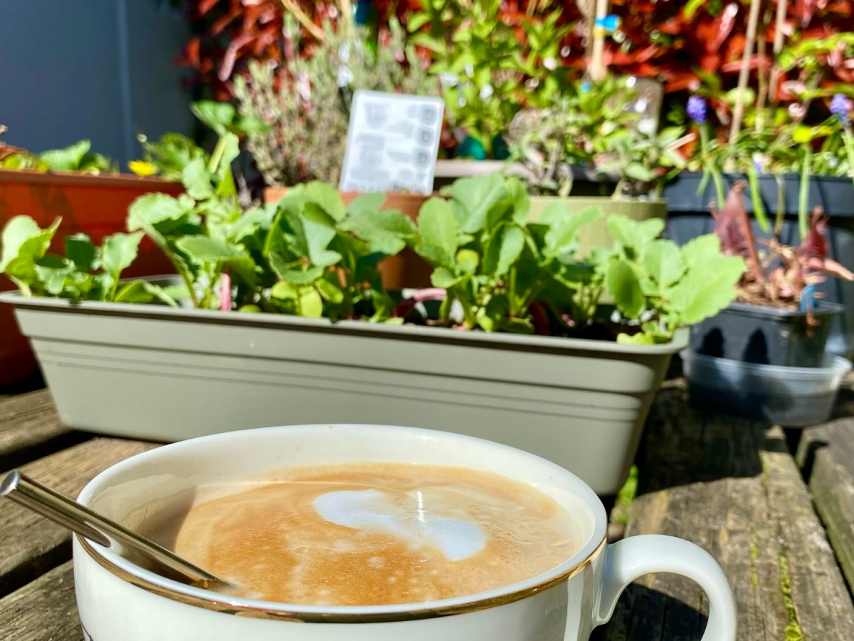 &laquo;&nbsp;Slow&nbsp;&raquo; télétravail : quand le jardin devient&nbsp;bureau