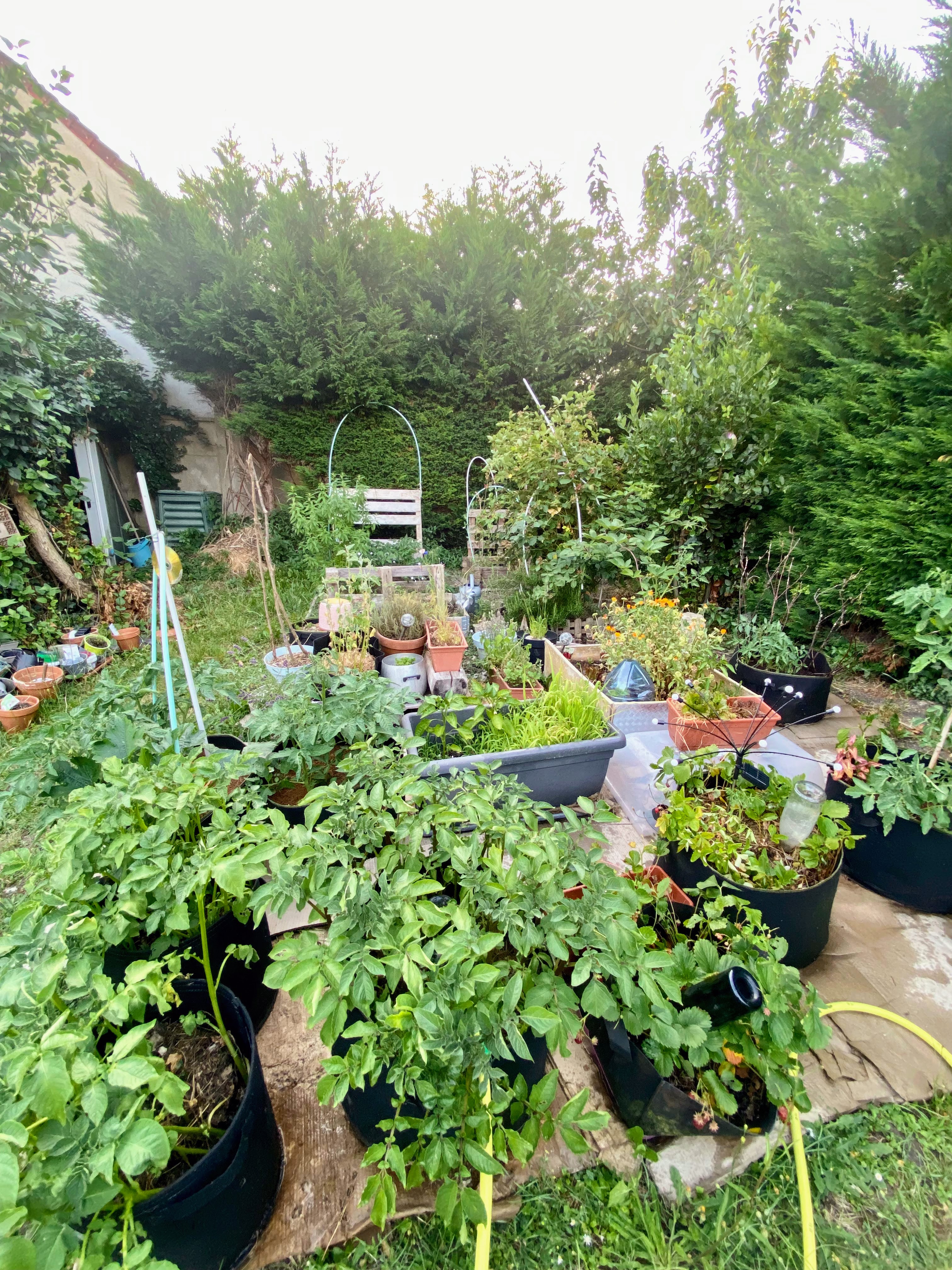 potager 2025