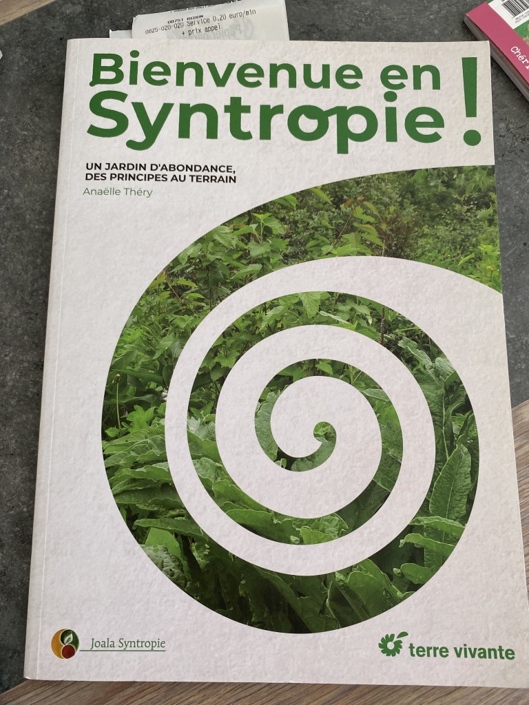 Syntropie