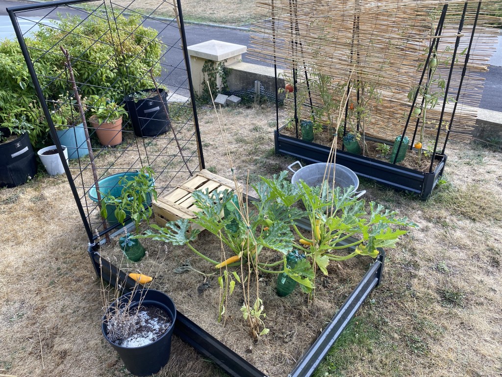 nouveau potager