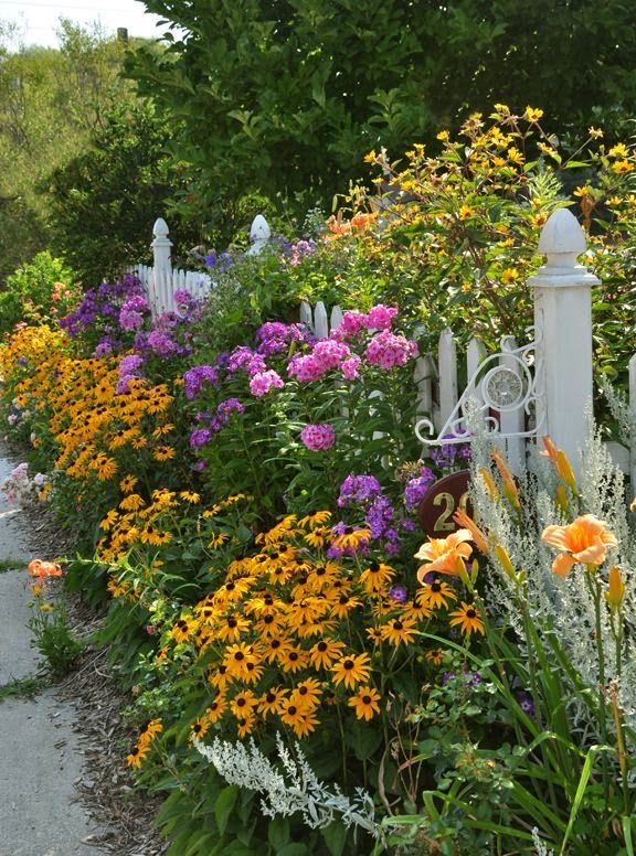 Massif de fleurs pris dans une clôture blanche champêtre