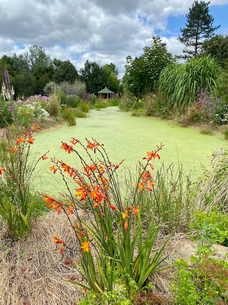 Imaginer mon jardin pour un Lughnasadh&nbsp;fleuri